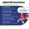 Jack's Classic 20-20-20 All Purpose Water-Soluble Fertilizer with Micronutrients to