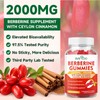 BVIVLOO 2 Packs Berberine Gummies,Sugar Free 2000mg High Potency Berberine