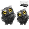 WAYUTO Black Obsidian Resin Owl with Acrylic Clear Display Case