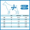 BPS 16 Pack Disposable Nappies for Dogs, Pets, Female, Puppy,