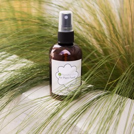 Air Plant Food - Ready to Use Fertilizer