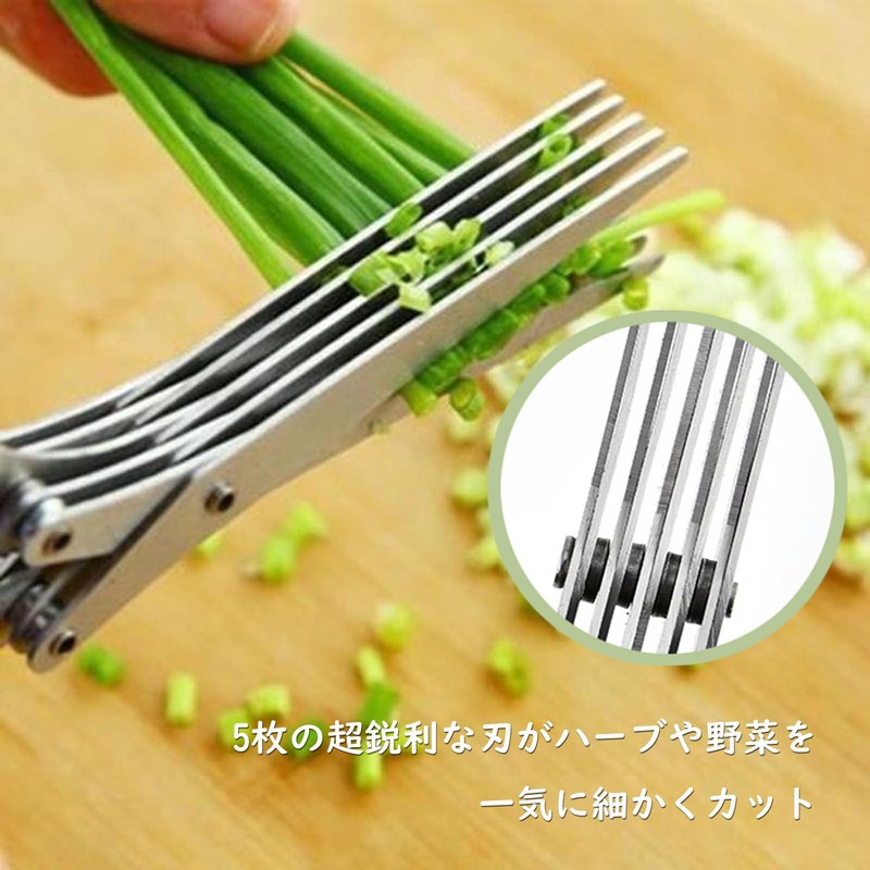Shredder Scissors, 5-Blade Herb Cutter Scissors, Kitchen Scissors, Scissors, Leek,