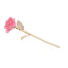 24K Gold Rose Dipped Golden Leaves Girlfriend Wife Valentine's Day