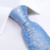 DiBanGu Conjunto de corbata de seda para hombre, Floral Azul