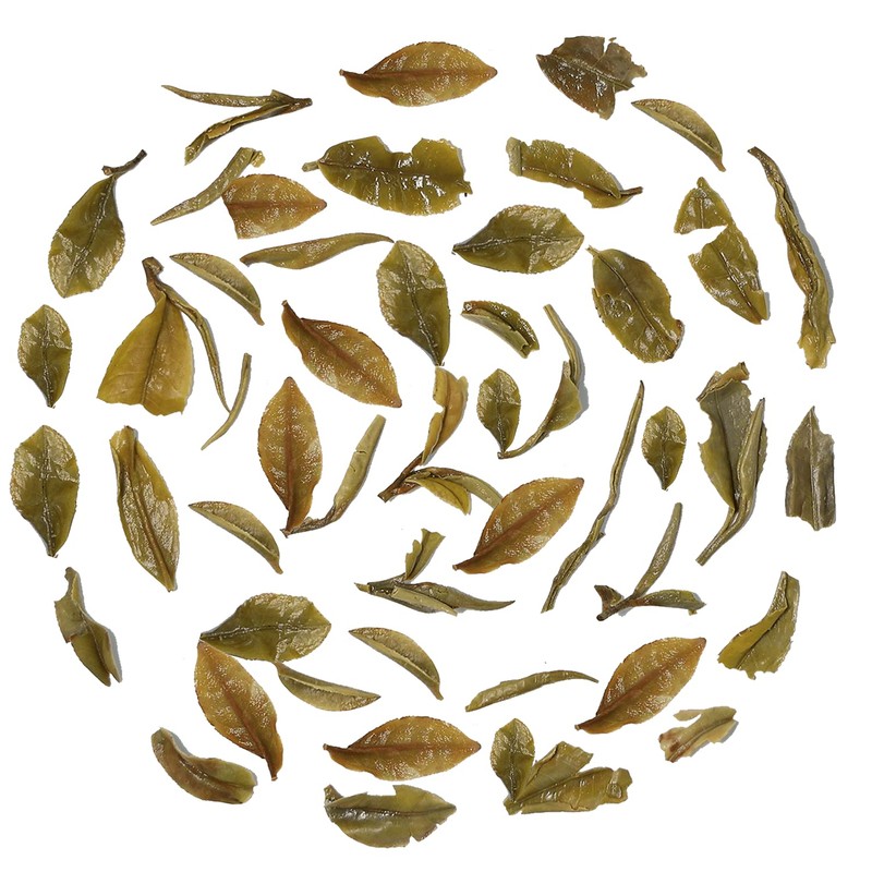 OKAYTI Tea Garden Darjeeling 2024 Spring Picked Tea Moonlight First