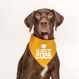 Class of 2027 Dog Bandana | 100% Cotton Triangle | School Graduation Ceremony Party | Mom Dad Graduating Prop | Camo, X-Small 1220