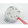 CHANCS Synchronous Motor Micro Motor TYD-50 12V AC 5-6RPM Wire