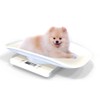 Small Pet Scale Digital Portable Dog Cat Scale Electronic Kitchen