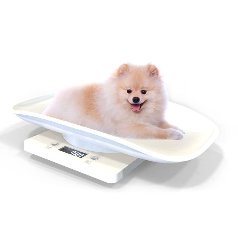 Small Pet Scale Digital Portable Dog Cat Scale Electronic Kitchen