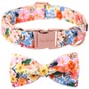 Unique style paws Cartoon Dog Collar with Bow Spring Summer