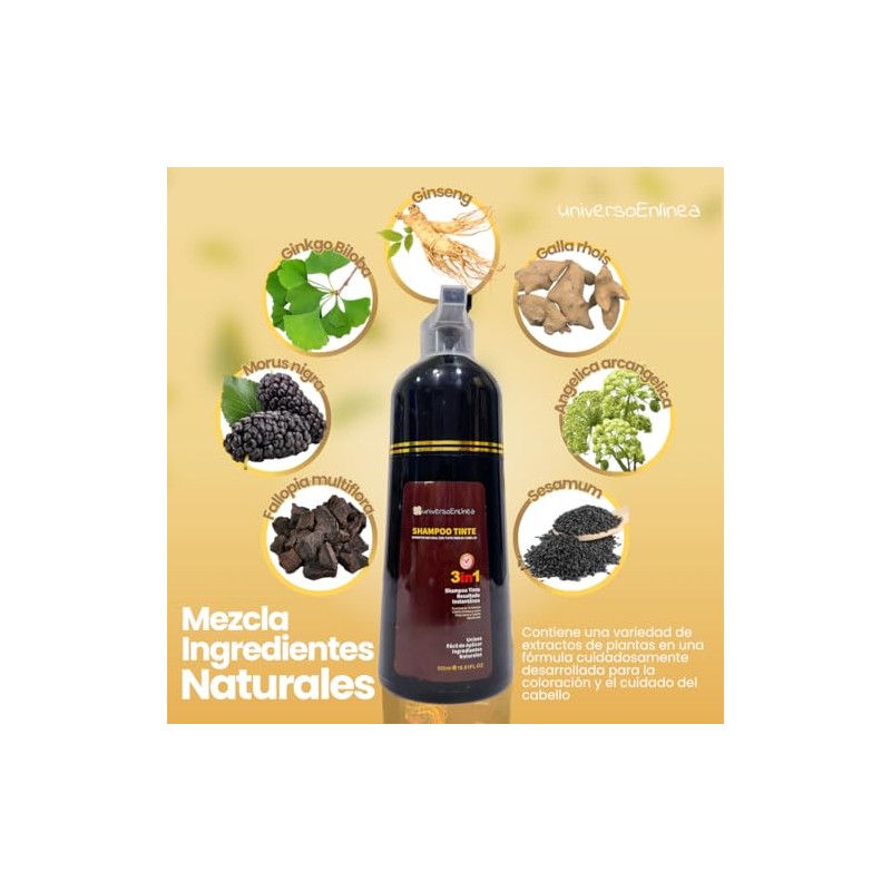 Black Instant Hair Color Shampoo for Gray Hair, 3 In