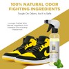 Gold Standard Shoe Deodorizer Spray, 6 oz – Shoe Spray