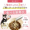 犬 口臭 ふりかけ サプリ サプリメント 国産 無添加 デンタルケア 口腔ケアサプリ 口臭ケア