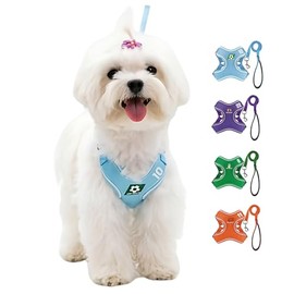 SAN KARA Arnés para Perros y Gatos Pequeños con Correa 1.5 m, Arnés Tipo Chaleco Transpirable de Malla, Diseño Deportivo con Estampado de Pelotas, Aju