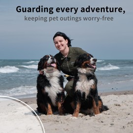 DTCOLLAR Reflective Dog Collar, Soft Nylon Puppy Collar with Buckle for Small Medium Large Dogs (2-Pack)