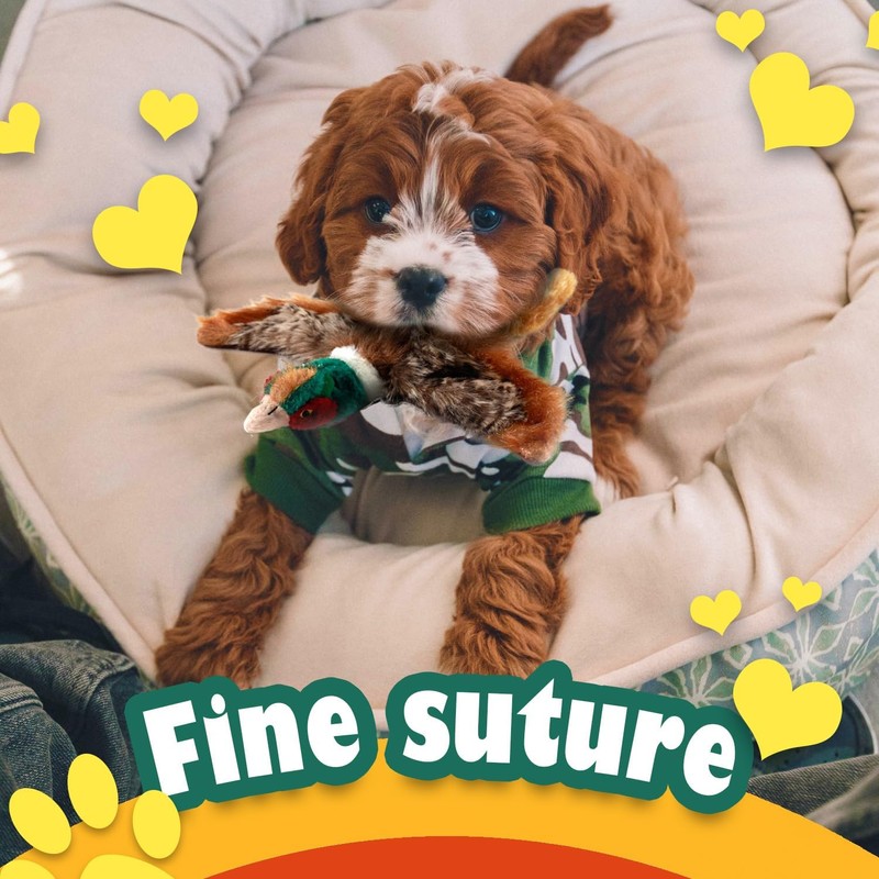 ALL FOR PAWS Classic Dog Pheasant Toys, Squeaky Dog Toys