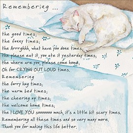 Loss of a Pet CAT Condolence Sympathy Card - Remembering the Good Times