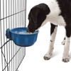 Billionchains Indoor Heated Water Bowl for Pet 600ML Thermal Water