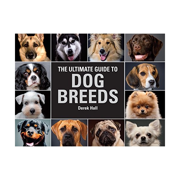 The Ultimate Guide To Dog Breeds