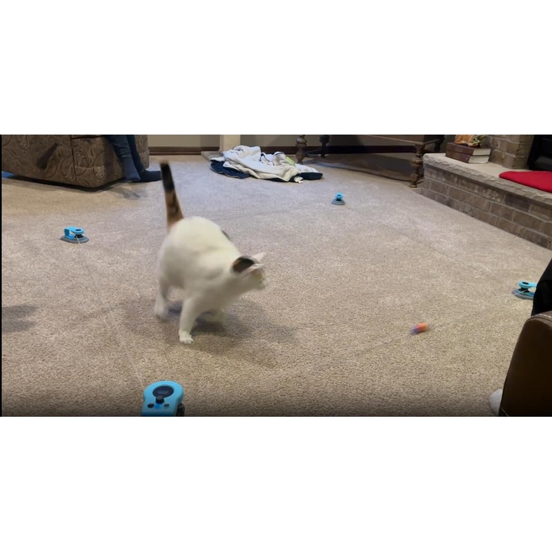 Cat Toys for Indoor Cats, Interactive Cat Toy Chasing Running