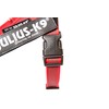 Julius-K9 16IDC-M-R-2015 IDC Color & Gray Belt Harness for Dogs,