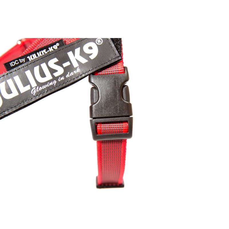 Julius-K9 16IDC-M-R-2015 IDC Color & Gray Belt Harness for Dogs,