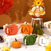 PETKNOWS 4 PCS Fall Pumpkin Wooden Signs, 3D Pumpkin Tabletop