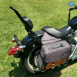 ECOTRIC Detachable Sissy Bar with Backrest Compatible with 2004-Up Harley Sportster XL883C 883R XL1200R 1200C 1200S XLH883 XLH1200 Motorcycle Backrest W/Cushion Pad