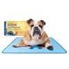 The Green Pet Shop Cool Pet Pad - Medium, Disney’s