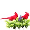 GREENWISH 12 Pcs Red Birds Cardinal with Clip on Christmas