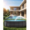 Whale Tail Pool Fountains for Above and In-ground Pools