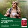 CBI Natural Pomegranate 50:1 Extract, 25000 mg Strength, 120 Vegan