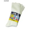 Gunze 04094-27-025 Men's Socks, White, white