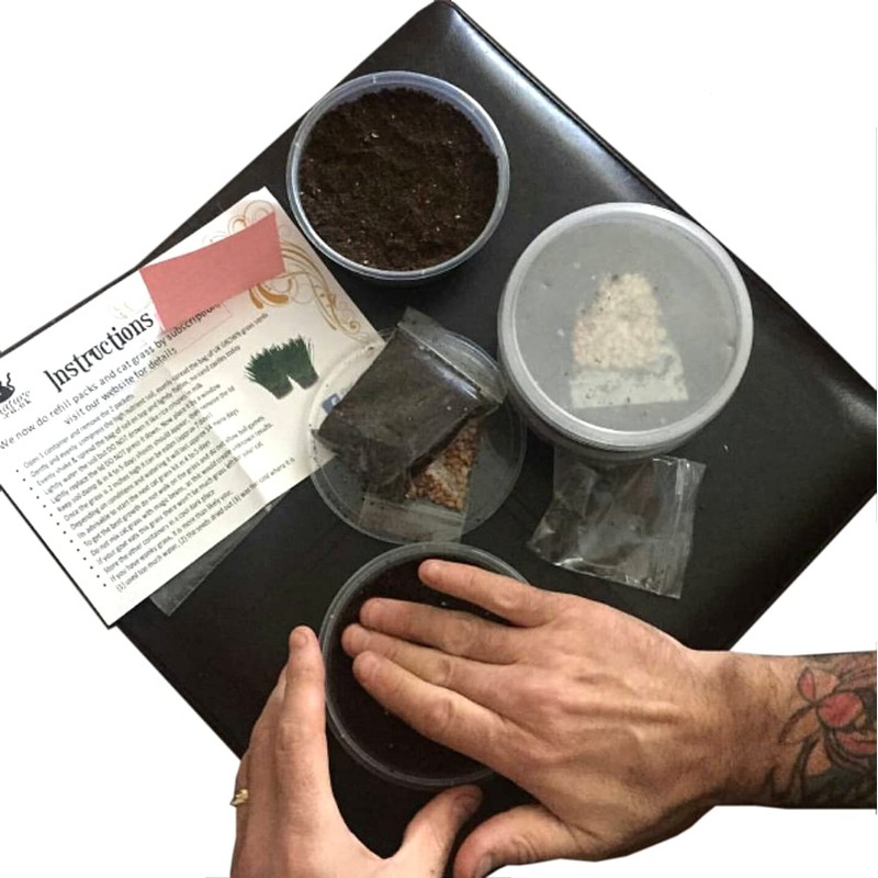 Cat Grass Kits x3 and Extra Strong Catnip x1 By