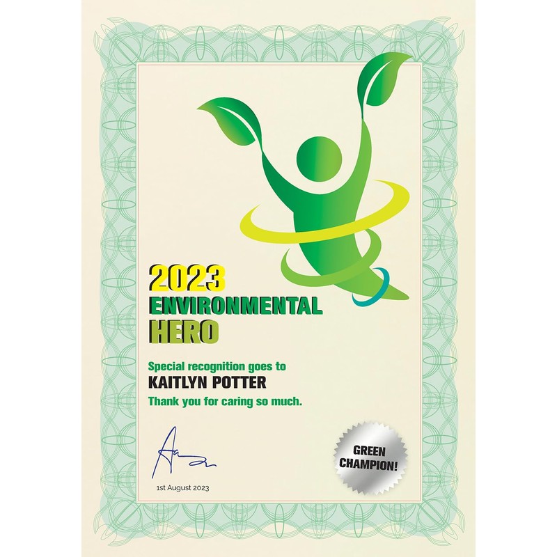 Computer Craft Certificate Papers with Foil Seals 90gsm A4 Green