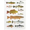 Half a Donkey Freshwater Fishes large cotton tea towel