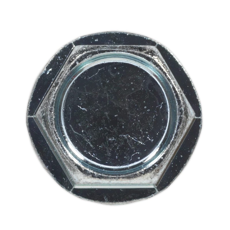 Sealey Sdhx4819 Self Drilling Screw 4.8 X 19Mm Hex Head