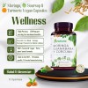 B-Expert Moringa, Guanabana y Cúrcuma (Moringa, Guanábana y Cúrcuma) 90