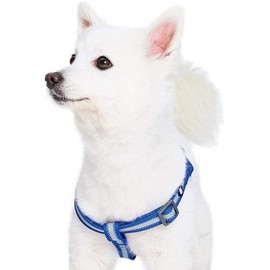 Blueberry Pet Essentials Reflective Back to Basics Matching Dog Harness and Leash Set, Navy Blue, Adjustable Harness with 5 ft Leash for Small Dogs