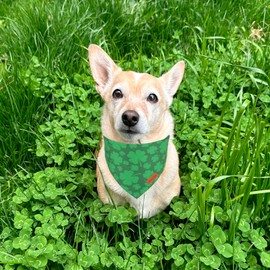 PTDECOR St. Patrick's Day Dog Bandana, Reversible Dog Scarf, Multi Size Offered, Green Shamrock Pet Bandanas for Medium Large Dogs Pets (St. Patrick's Day, Large)