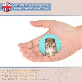 Destination Vinyl ltd Magnet for Refrigerator, Fridge - Fluffy Shetland Sheepdog Puppy Dog Cute for Office, Cabinet and Whiteboard, Magnetic Stickers, 24184