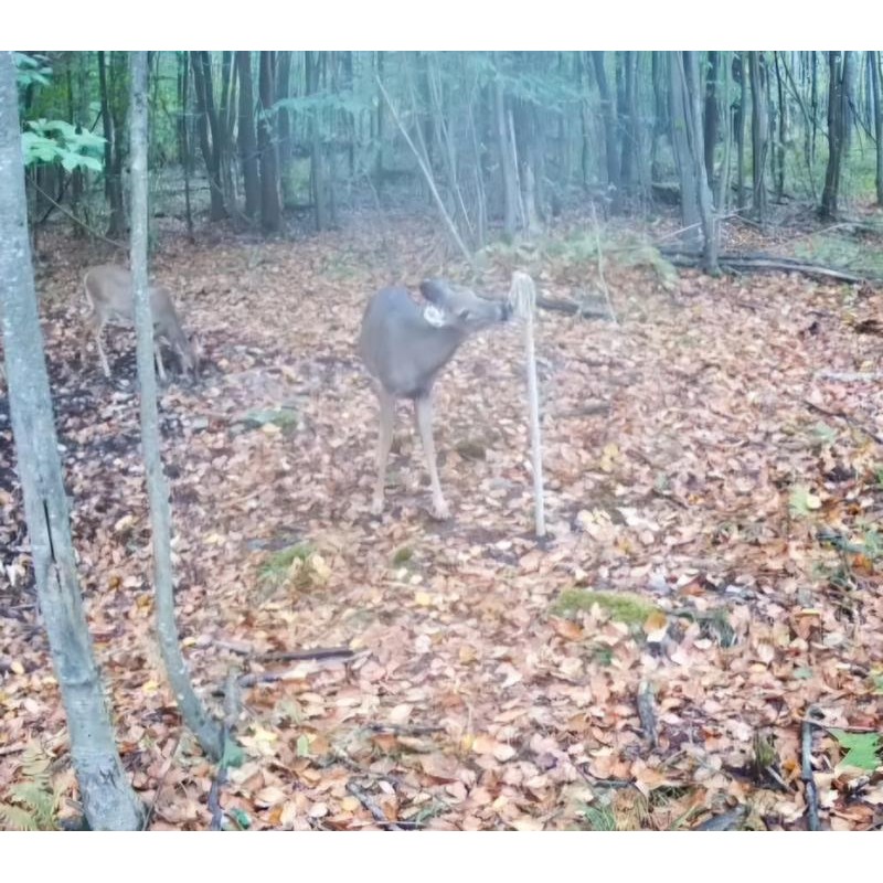 Heated Hunts Rigid Mock Scrape Post Kit with Synthetics Scents