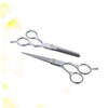 Ipetboom Stainless Steel Professional Hair Scissors 2pcs Flat Scissor Set