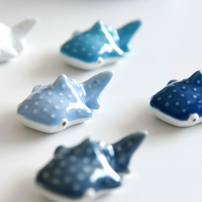 natural69 Whale Shark Ladder Light Blue
