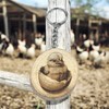 Promotech Hatching Chick Handmade Laser Engraved Single Piece Wooden Keyring,