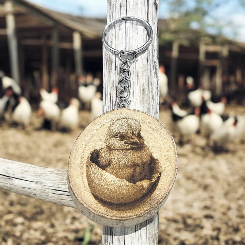 Promotech Hatching Chick Handmade Laser Engraved Single Piece Wooden Keyring,