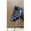 Equipride Horse Print Faux Lined Nylon Headcollars with Matching Lead