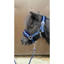 Equipride Horse Print Faux Lined Nylon Headcollars with Matching Lead Rope Navy (Pony)