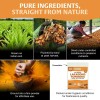 Handpick Polvo De Cúrcuma Lakadong 226 G - Alta Curcumina
