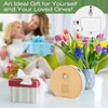 Acemall Bird Chirping Motion Sensor Box, Bird Chirping, Natural Sounds